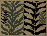 Jungle II Edition limitée par Gérard Titus-Carmel