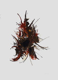 Composition Collectable Print by Bernard Lignon