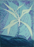 Fleur Céleste Limited Edition by Cesare Peverelli