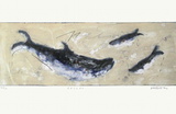 Besces Limitierte Auflage von Alexis Gorodine