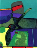 Arizovert Collectable Print by Maurice Esteve