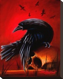 Crow Stretched Canvas Print by James Strickland