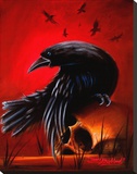 Crow Stretched Canvas Print by James Strickland