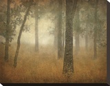 Oak Grove in Fog, Study 24 Stretched Canvas Print by William Guion