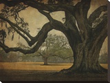 Two Oaks in Rain, Audubon Gardens Reproduction transférée sur toile par William Guion