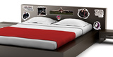 Vampire Diaries - Group Wall Decal