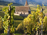 Hunawihr, Alsatian Wine Route, Alsace Region, Haut-Rhin, France Photographic Print by Walter Bibikow