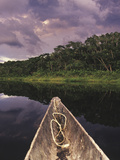 Napo Wildlife Center, Yasuni National Park, Amazon Basin, Ecuador Photographic Print by Christopher Bettencourt