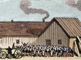 Colored Engraving of the Newspaper 'Frank Leslie's' (1875), Kansas, Usa Photographic Print by Prisma Archivo 