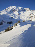 Mount Rainier after Winter Snowstorm, Mount Rainier National Park, Washington, Usa Photographic Print by Jamie & Judy Wild