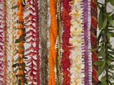 Hawaiian Flower Lei Strand Photographic Print by Douglas Peebles