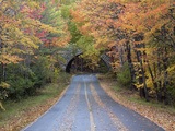 Joanne Wells - Road Through Acadia National Park in the Fall, Maine, Usa Fotografická reprodukce Joanne Wells - Road Through Acadia National Park in the Fall, Maine, Usa Fotografická reprodukce