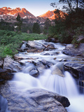 Stream Runs Through Lamoille Canyon in the Ruby Mountains, Nevada, Usa Photographic Print by Dennis Flaherty