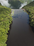 Potaro River Which Runs into the Essequibo River, Kaieteur National Park Rainforest, Guyana Photographic Print by Pete Oxford