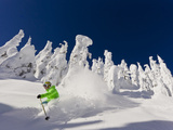 Skiing Untracked Powder on a Sunny Day at Whitefish Mountain Resort, Montana, Usa Fotografisk tryk af Chuck Haney