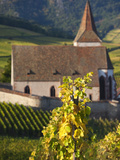 Hunawihr, Alsatian Wine Route, Alsace Region, Haut-Rhin, France Photographic Print by Walter Bibikow
