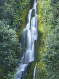 Waterfall, Centennial Gardens, Napier, Hawkes Bay, North Island, New Zealand Photographic Print by David Wall