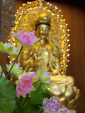 Pink Lotus Flowers in Front of Gold Statue, Kek Lok Si Temple, Island of Penang, Malaysia Photographic Print by Cindy Miller Hopkins
