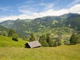 Alpine Pasture Enar Grindelwald Valley Below Eiger, Jungfrau Region, Switzerland Photographic Print by Michael DeFreitas