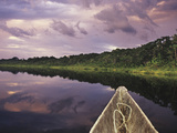 Napo Wildlife Center, Yasuni National Park, Amazon Basin, Ecuador Fotografisk trykk av Christopher Bettencourt Napo Wildlife Center, Yasuni National Park, Amazon Basin, Ecuador Fotografisk trykk av Christopher Bettencourt