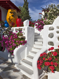 Stairs and Flowers, Chora, Mykonos, Greece Fotografisk tryk af Adam Jones