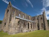 Tintern Abbey, River Wye Valley, Monmouthshire, Wales Photographic Print by Roddy Scheer