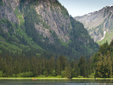 Walker Cove Area of Misty Fjords National Monument Wilderness Area, Alaska Fotografie-Druck von Michael DeFreitas
