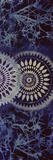 Eclipse II Giclee Print by Tiffany Dow