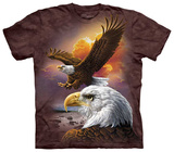 Eagle & Clouds Tshirts