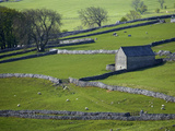 Farmland, Stone Walls and Buildings, Near Malham, Yorkshire Dales, North Yorkshire, England Photographic Print by David Wall
