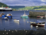 Harbor and Caledonian-Macbrayne Ferry, Oban, Scotland Photographic Print by Bill Sutton