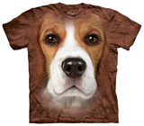 Beagle Face Shirts