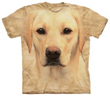 Portrait eines gelben Labradors T-Shirts