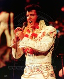 Elvis Photo
