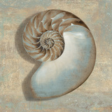 Aqua Nautilus Art by Caroline Kelly