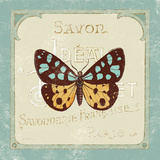 Parisian Butterfly I Art by Sue Schlabach