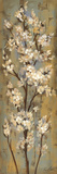 Almond Branch II Póster por Silvia Vassileva Almond Branch II Póster por Silvia Vassileva