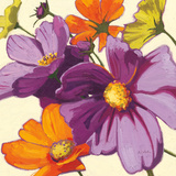 Cosmos II Art by Shirley Novak