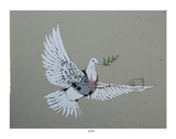 Bulletproof Dove Print