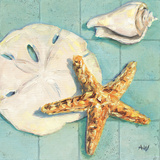 Starfish II Art by Alyssa Watters