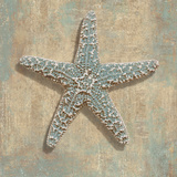 Aqua Starfish Prints by Caroline Kelly