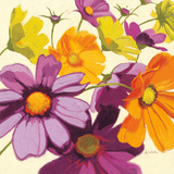 Cosmos I Posters by Shirley Novak