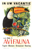 Avifauna Bird Park: Holland c.1951 Print by Guust Hens