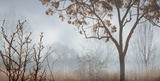 Early Morning Mist I Prints by John Seba Early Morning Mist I Prints by John Seba