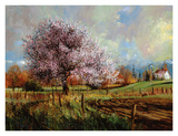 Spring Blossoms Prints by Larry Winborg