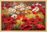 Meadow Poppies II Posters by Lucas Santini