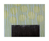 Untitled, c.2011 Premium Giclee Print by Sybille Hassinger