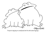 "I may be a big frog in a small pond, but I'm still a damn big frog." - New Yorker Cartoon Premium Giclee Print by Charles Barsotti
