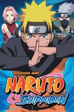 Naruto Group Prints