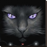 Spiral-Magical Cat Kunstdruk op gespannen doek